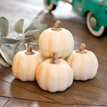5 Set Mossy Stem Cream Pumpkins - The Fox Decor